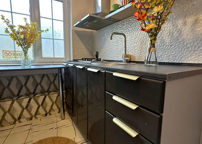 Nova Executive Free Parking * Craiova