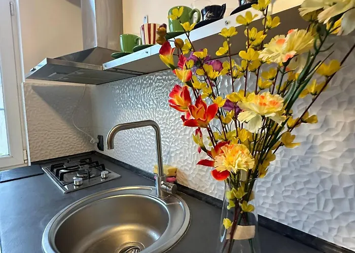 Nova Executive Free Parking * Craiova